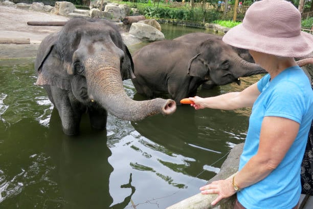 Singapore Zoo